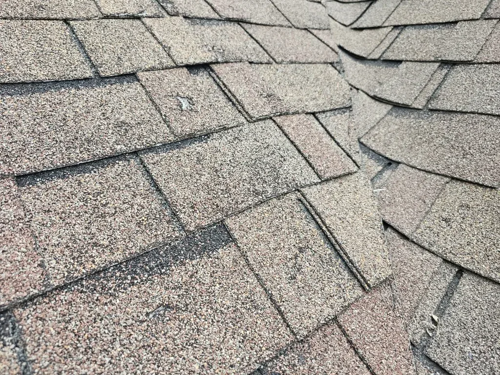 Close-up of hail-damaged asphalt shingles in Prior Lake, MN